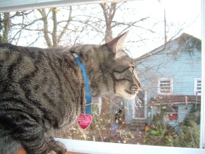 2005_0228mattandanna0001 Matthew