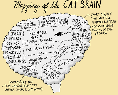 cat brain cartoon