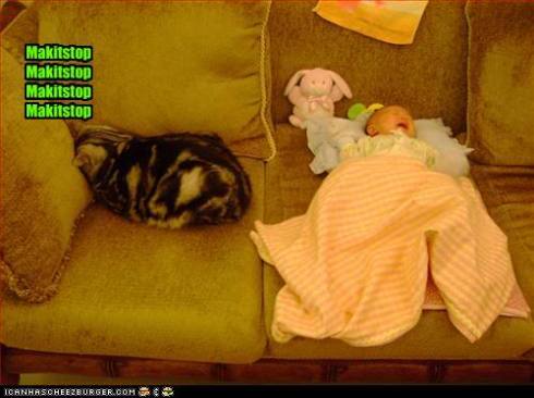 funny-pictures-cat-wants-baby-to-st
