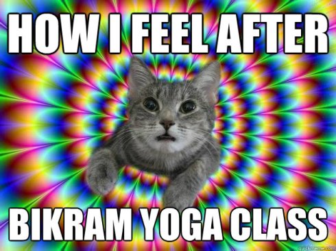Bikram Cat
