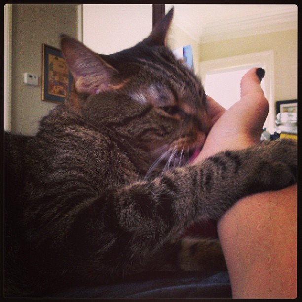 247656_10151531737969086_294063009_n