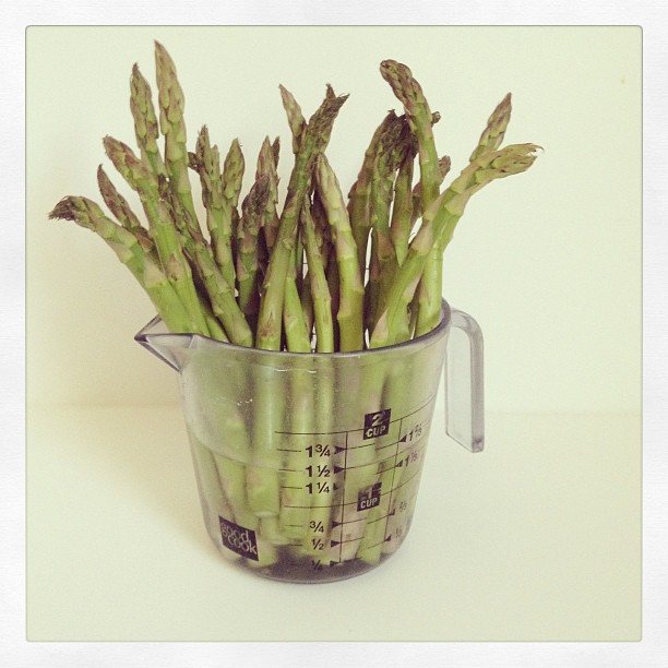 944240_10151533692074086_1674430670_n