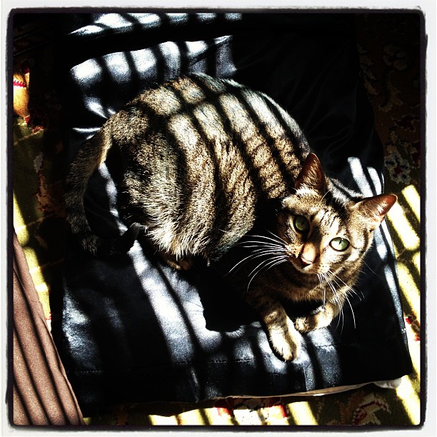 945827_10151525984929086_1282373196_n