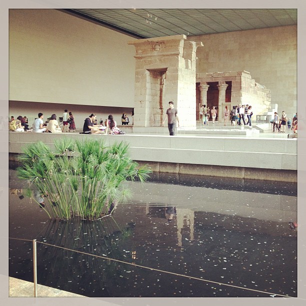 945856_10151565721279086_2057410991_n