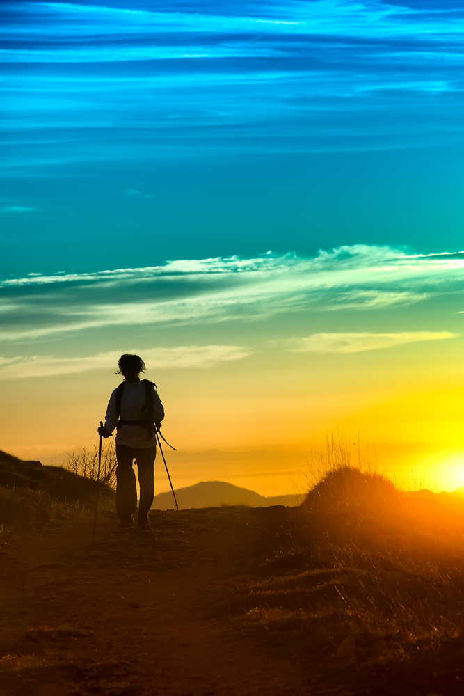 shutterstock_228330364