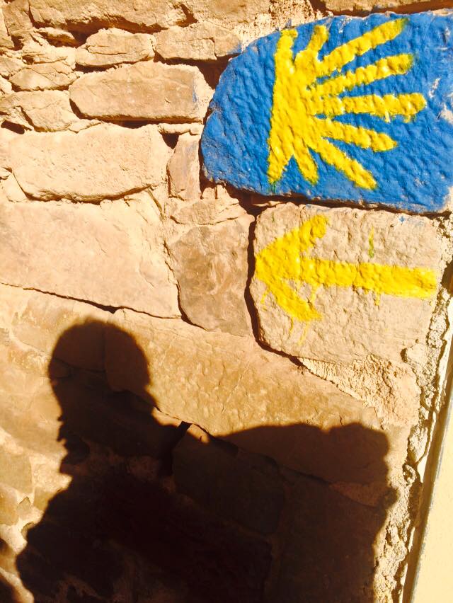 1512306_10153379099644086_6546549017257628572_n