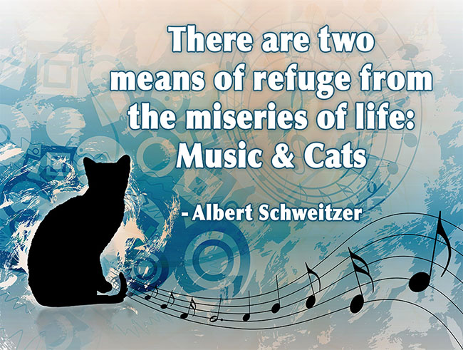 there-are-two-means-of-refuge-from-the-miseries-of-life-music-cats